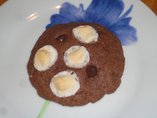 Biscuits au chocolat chaud