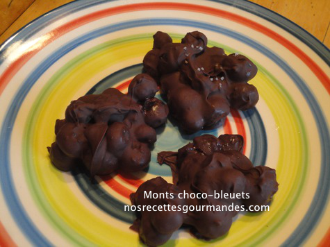 Monts choco-bleuets