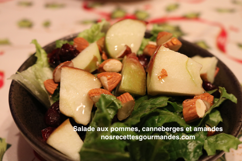 salade pommes amandes canneberges1