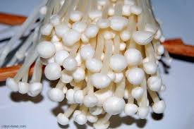 enoki