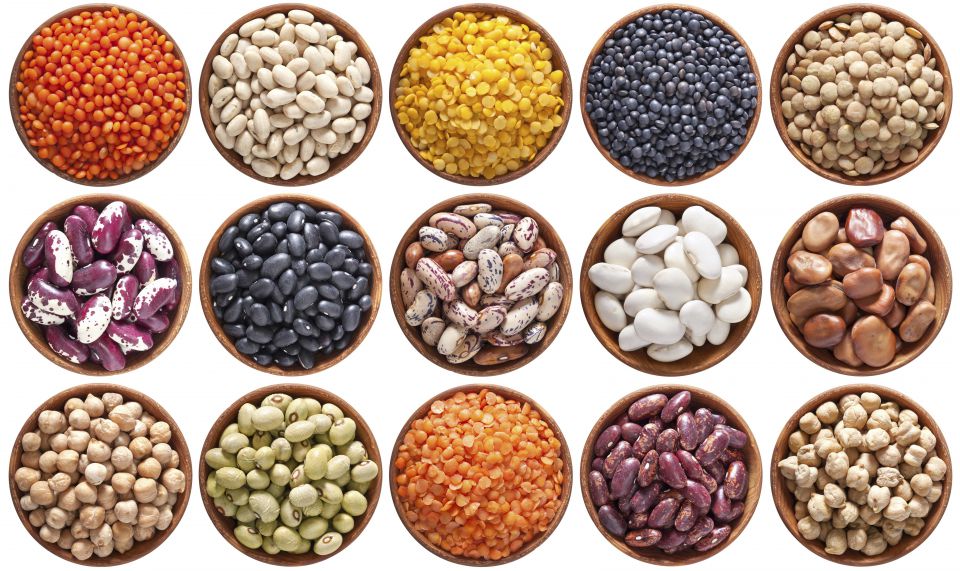 recettes légumineuses